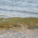 오이도종합어시장 이미지