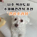 본도시락 건너편 | 나주강아지수제간식 &#39;견공수라상&#39; (가격, 주차, 구매방법)