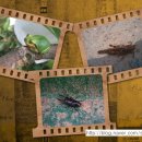 샛터농장 이미지