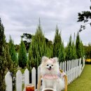 운동장시범화장실 이미지