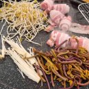 착한술집789 이미지