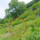 전곡읍-17 이미지