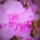 산에들에 이미지