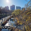 중앙공원 산책로 이미지