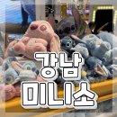 서초동 1305-7 | 강남 놀 거리 실내 데이트 추천 강남 미니소 오픈 방문 후기ෆ