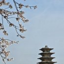 여산태양광발전소 이미지