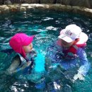 백송온천관광호텔 이미지