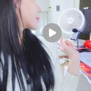 모터피시 | 끌리젠 써큘레이터 공기순환기 아주 시원한 후기 🌬️