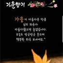 옷깃 이미지