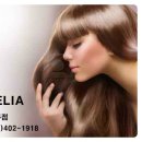 펠리아미용실 이미지