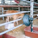 구시리축산 이미지