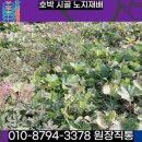 시골농장건강원