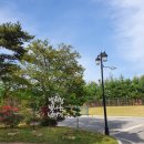 비비큐하남신장점 | 경기도 이천 테르메덴, 이천 테르메덴 풀앤스파 이용후기