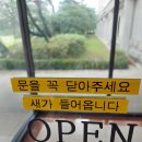 팜잉 이미지