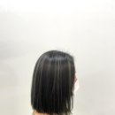 강서구-44 이미지