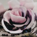 샤넬 디자인 이미지