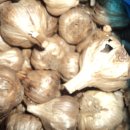 동상건강원 이미지