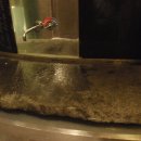 일번가식당 이미지