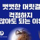 컬러앤하우스예산점