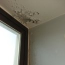 한승바이오 이미지