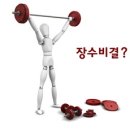 장수-13 이미지
