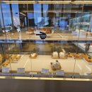 강문스토리 이미지