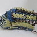 프로토탈크리닝 이미지