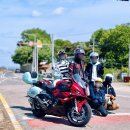 RR-352[금포로]-상-7 | 바린이들의 첫 단체 라이딩 : 김포 낮바리