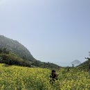 소담민박 | 220423-25 청산도 여행