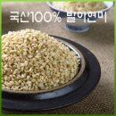 국산백 쇼핑하우