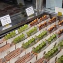 3175 | 카페드리옹 | 코엑스 케이크종류 진짜많음 내돈내산 솔직후기