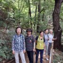 서리풀공원1-10 이미지