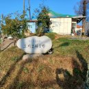 벌천포 선착장 이미지