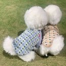 2501 이미지
