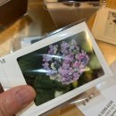 제주달곰 이미지