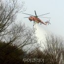 투하코리아 이미지