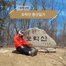 하룻밤 궁궐터 | 단양 도락산 등산코스 최단코스 주차 정보 소요시간 총정리 | 직접 다녀온 현실 후기(블랙야크 100대명산)
