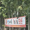 대도교통(주) | 세종시 장군면 | 청양어죽 | 얼큰하고 걸쭉한 세종 어죽 맛집 (몸보신 제대로 내돈내산후기)