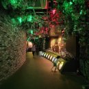 와인터널주차장 이미지