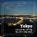 정원코킹 | 에노시마 여행 후지산 야경 볼 수 있는 시 캔들 전망대 사무엘코킹 정원 기념품샵 솔직후기