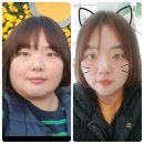 라인핏(점핑다이어트) 이미지
