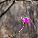 서촌마을회관 | 남파랑길 57코스(여수)