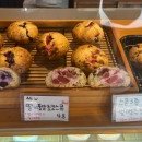 더홍디