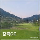 감곡CC 6월 라운딩 후기, 잔디 좋고, 가성비 좋고, 날씨 좋고