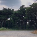 구미중앙로45길 이미지