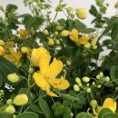 내일에프에스 이미지