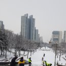 마두2동 행정복지센터 네이버블로그