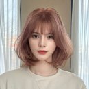 오브르헤어 이미지