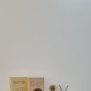 밀키스테이 이미지