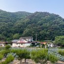 월악산황토펜션